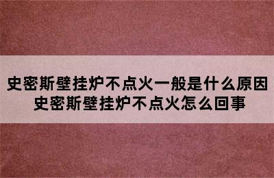 史密斯壁挂炉不点火一般是什么原因 史密斯壁挂炉不点火怎么回事